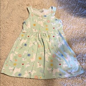 Toddler Toughskins Dress